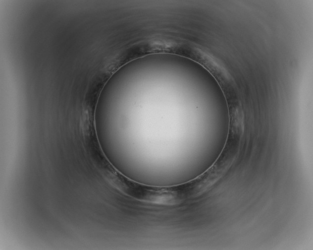 X0000112750463200908271545