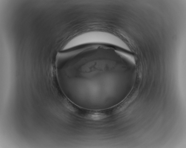 X0000112750467200908271545