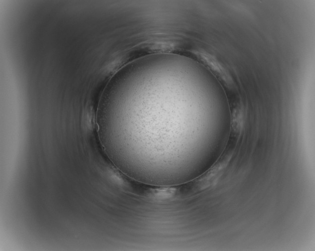 X0000112750474200908271546