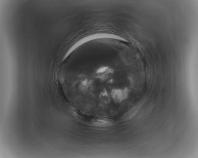 X0000112750475200908271546