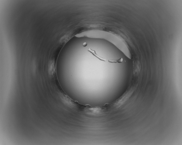 X0000112750478200908271546