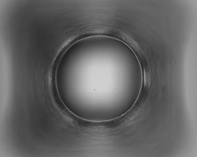 X0000112750483200908271545