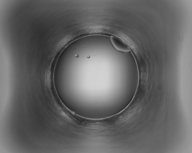 X0000112750485200908271545