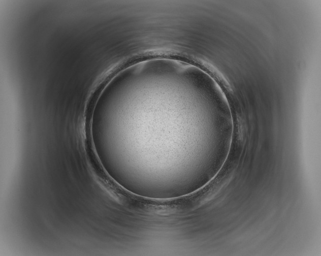 X0000112750486200908271545