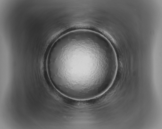 X0000112750487200908271545