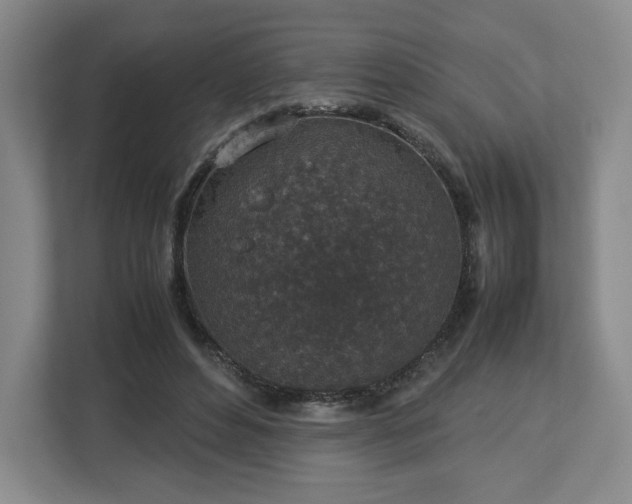 X0000112750496200908271545