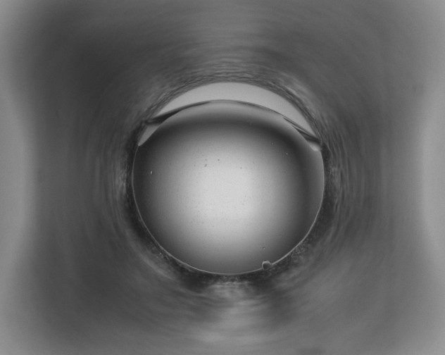 X0000112750499200908271545