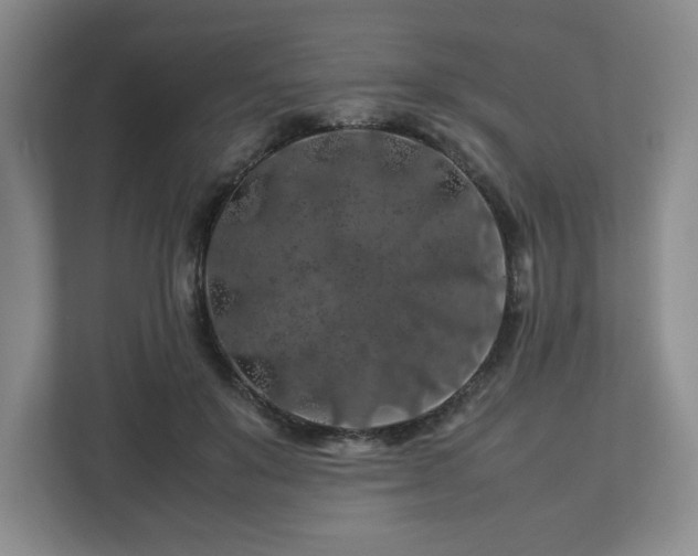 X0000112750503200908271545