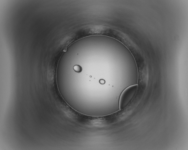 X0000112750505200908271545