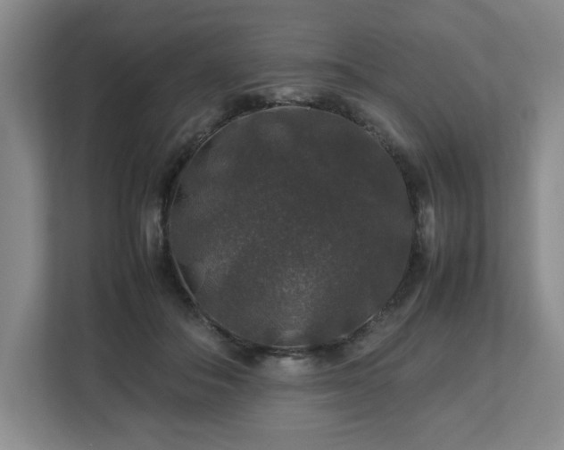 X0000112750506200908271545