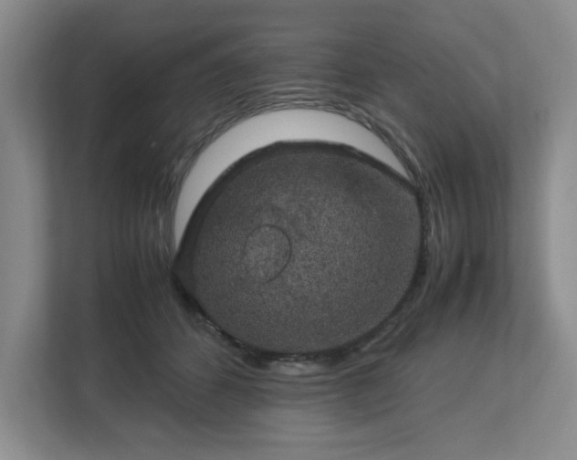 X0000112750512200908271545