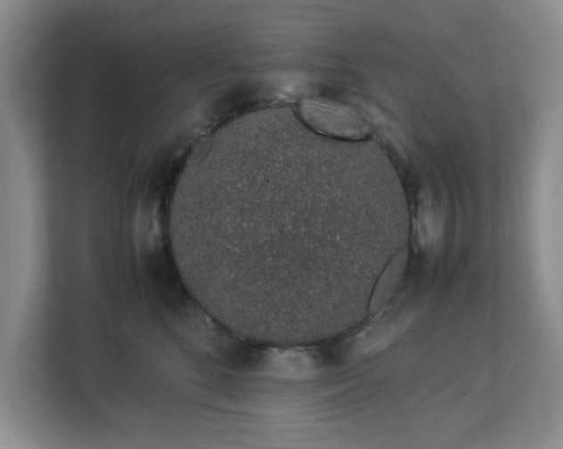 X0000112750520200908271544