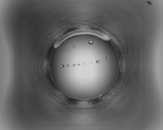 X0000112750521200908271544