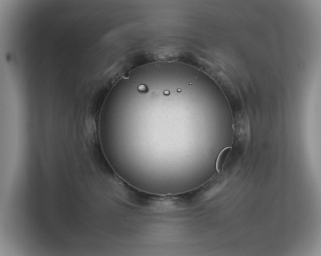 X0000112750523200908271544