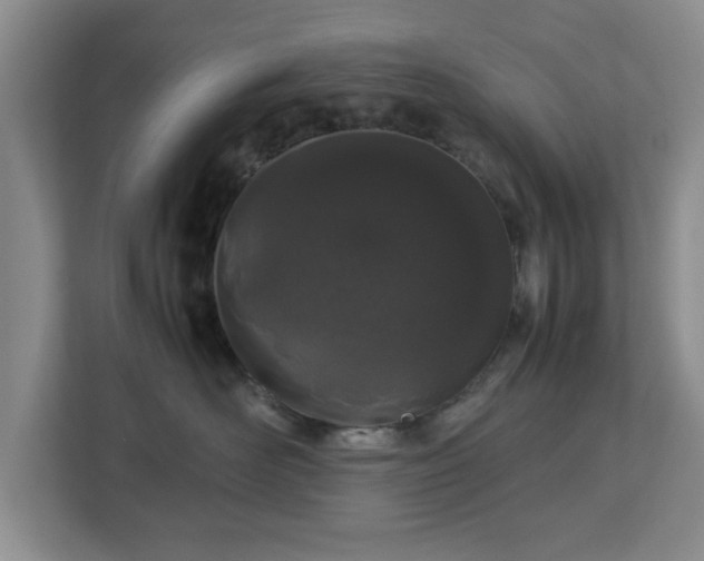 X0000112750526200908271544