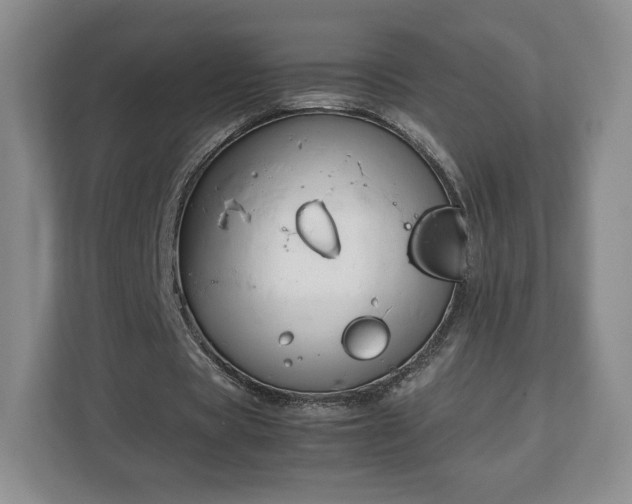 X0000112750529200908271544