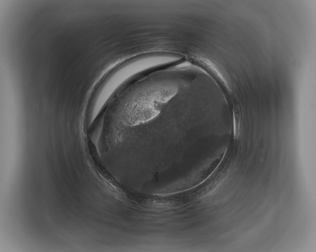 X0000112750531200908271544