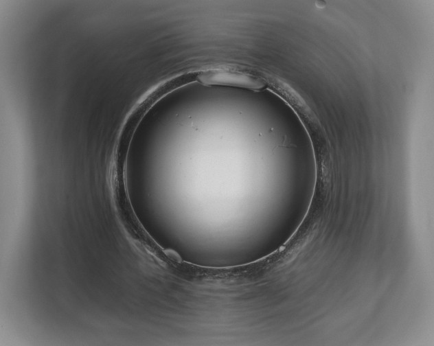 X0000112750532200908271544