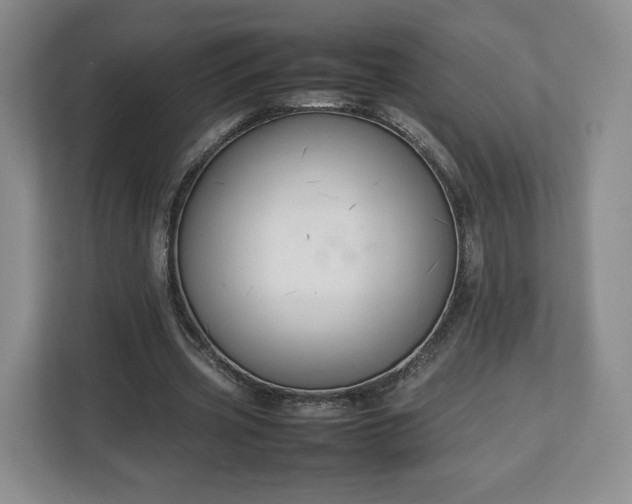 X0000112750533200908271544