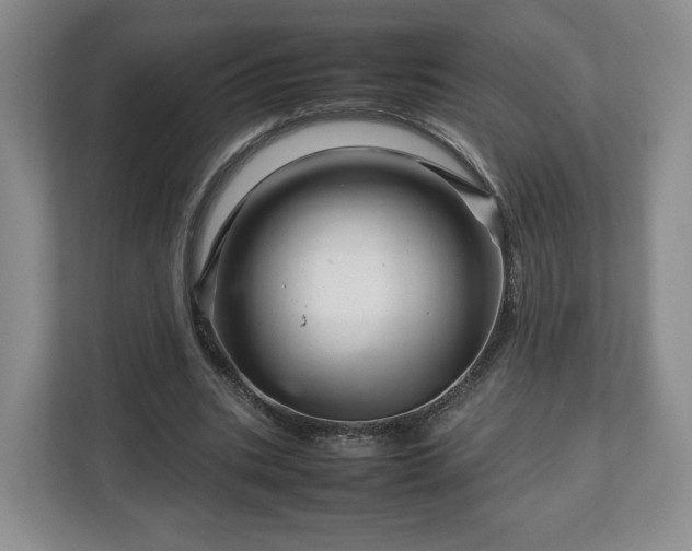 X0000112750535200908271544