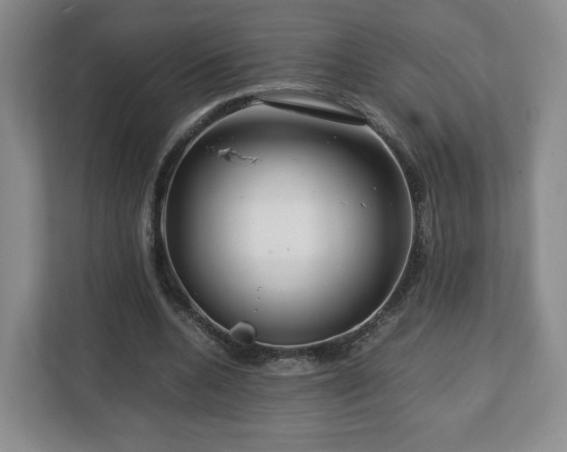 X0000112750536200908271544