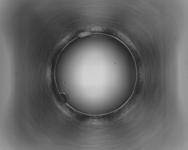 X0000112750538200908271544