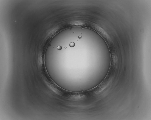 X0000112750541200908271544