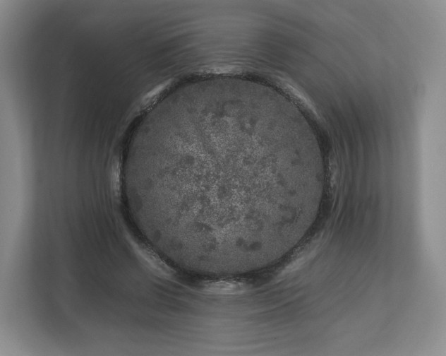 X0000112750542200908271544