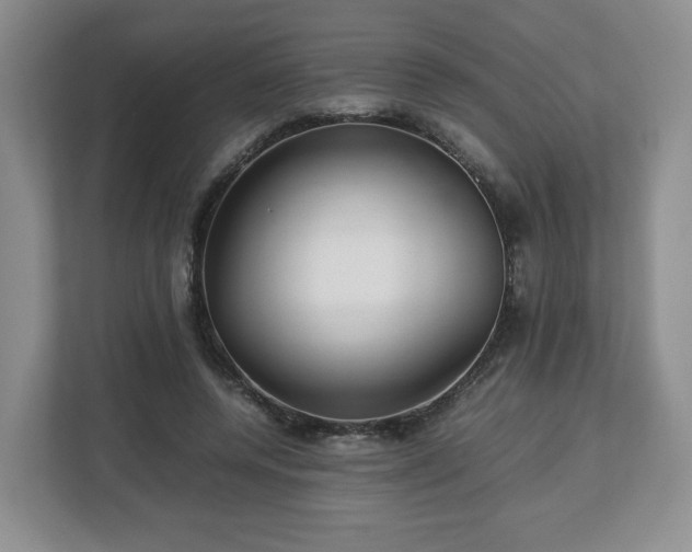 X0000112750544200908271544