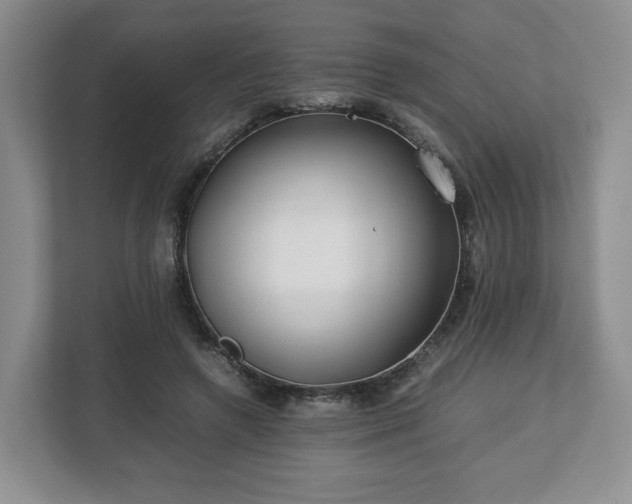 X0000112750546200908271544