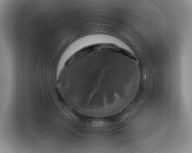 X0000112750547200908271544