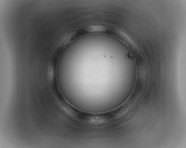 X0000112750549200908271544