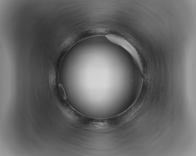 X0000112750552200908271544