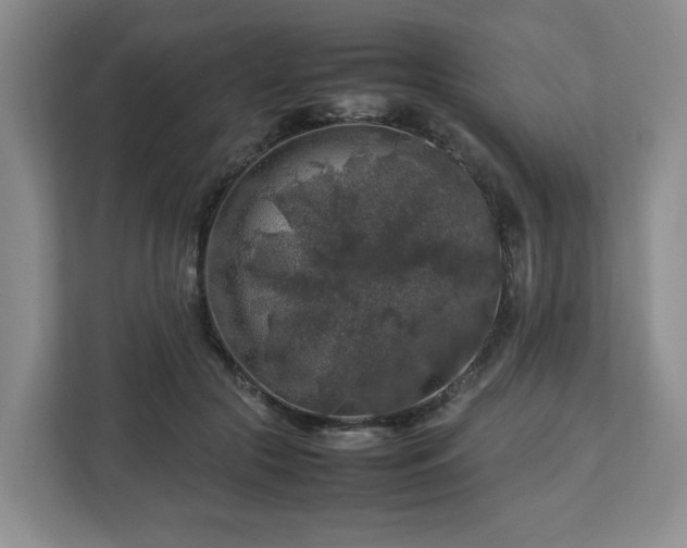 X0000112750553200908271544