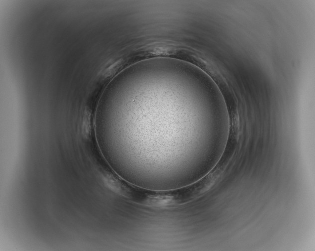 X0000112750554200908271544