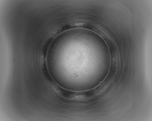 X0000112750555200908271544