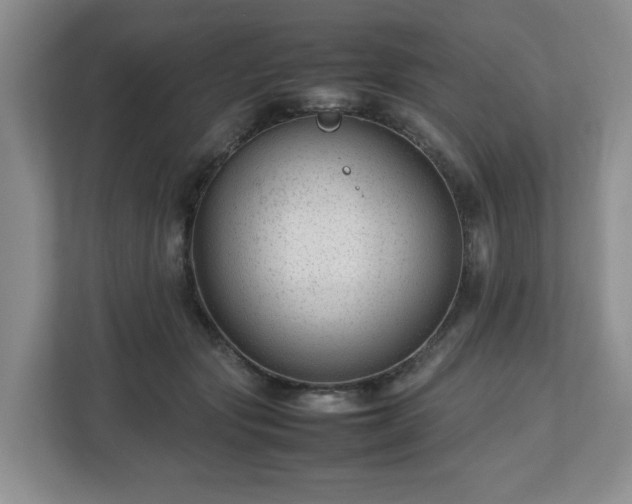 X0000112750557200908271544