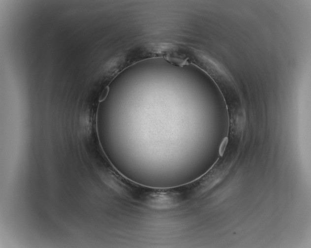 X0000112750558200908271544