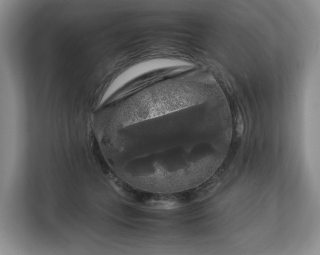 X0000112750559200908271544