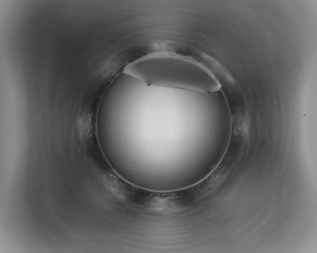 X0000112750560200908271544