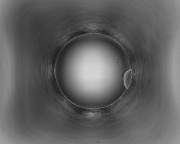 X0000112750563200908271544