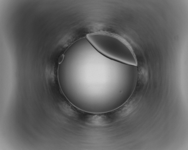 X0000112750566200908271544