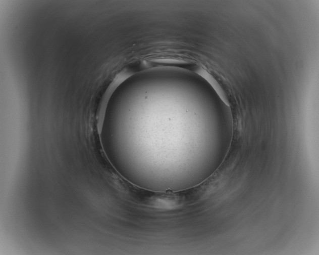 X0000112750567200908271544