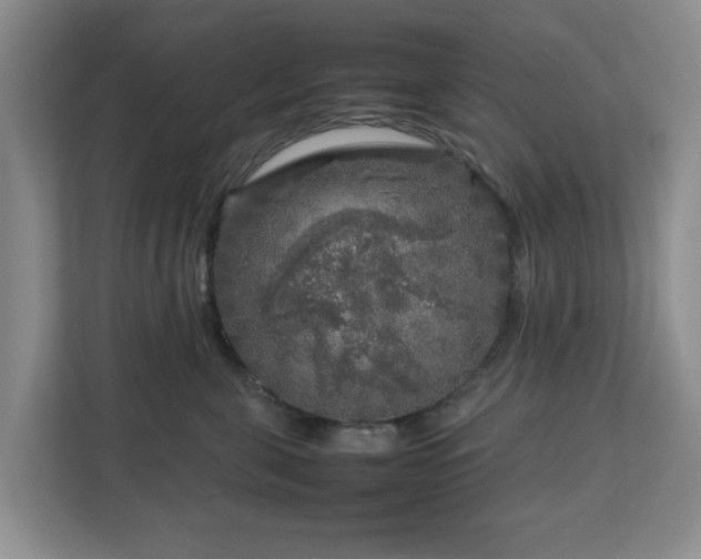 X0000112750571200908271544