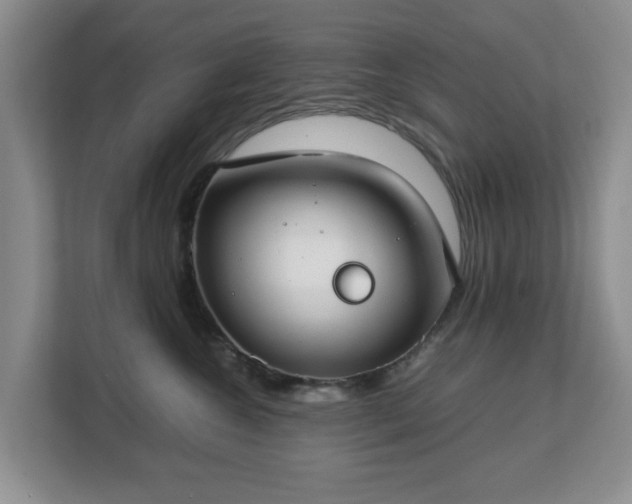 X0000112750572200908271544