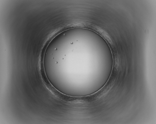 X0000112750578200908271544