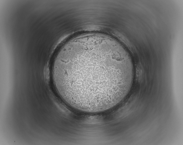 X0000112750584200908271543