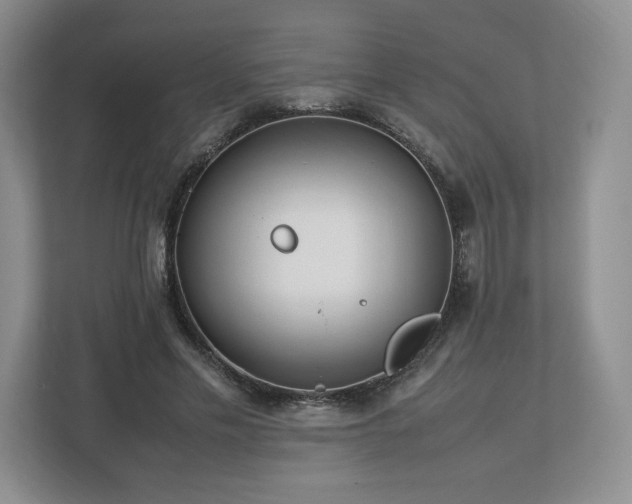 X0000112750589200908271543