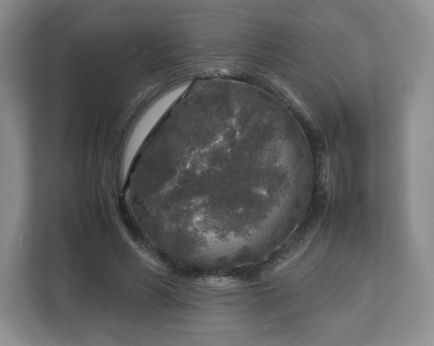 X0000112750590200908271543