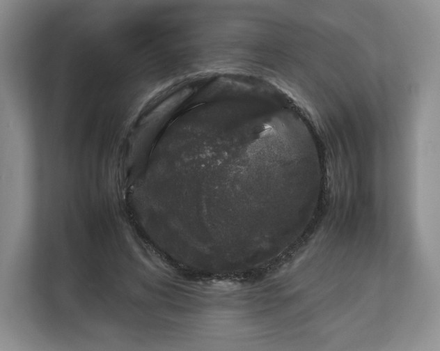 X0000112750592200908271543